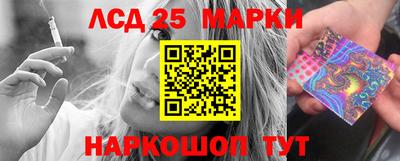 ПСИЛОЦИБИНОВЫЕ ГРИБЫ Новозыбков