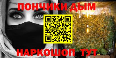 крисы Новокубанск