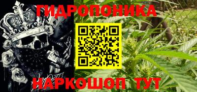 крисы Новокубанск