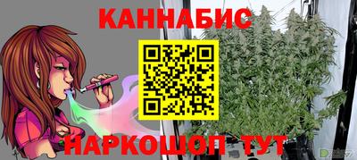 ПСИЛОЦИБИНОВЫЕ ГРИБЫ Новозыбков