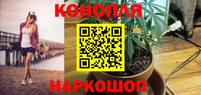 ПСИЛОЦИБИНОВЫЕ ГРИБЫ Новозыбков