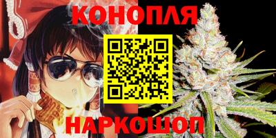 крисы Новокубанск