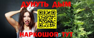 крисы Новокубанск